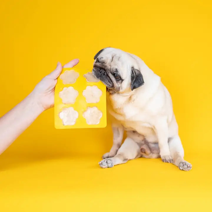 Doggy Ice Cream Kit with Mould