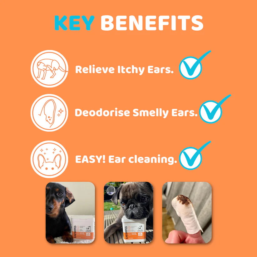 Ear Cleaning Wipes