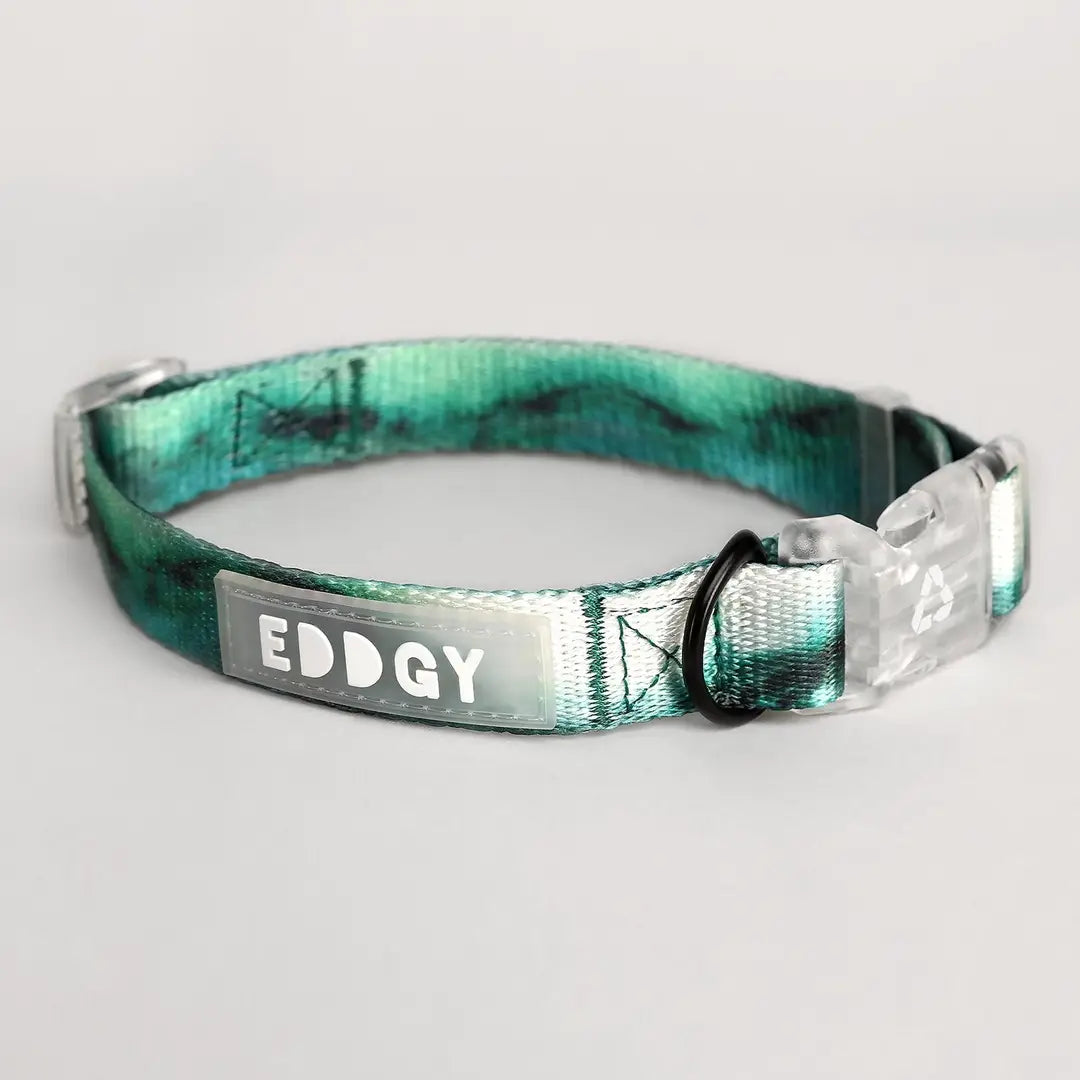 Eddgy Dog Collar - Maximus