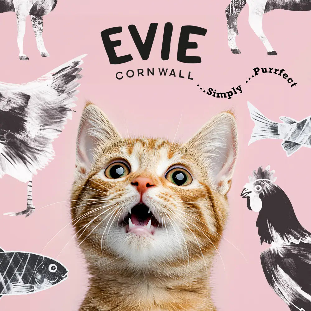 Evie Natural Dry Cat Food Salmon with Whitefish
