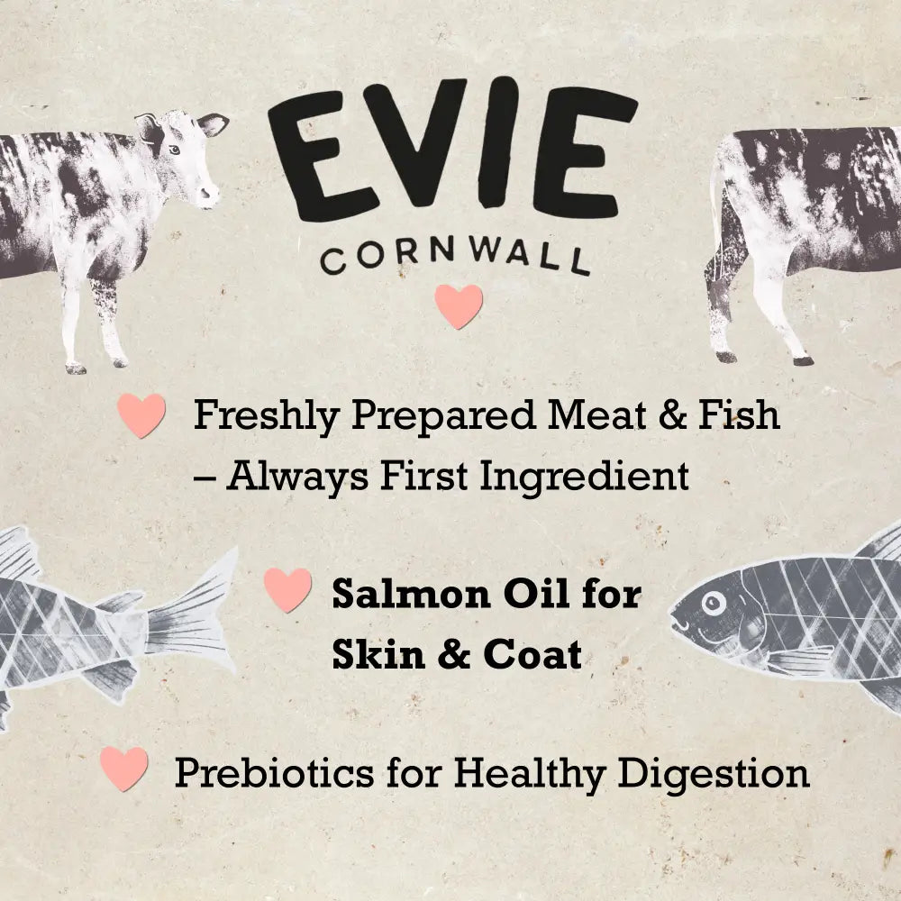 Evie Natural Dry Cat Food Salmon with Whitefish