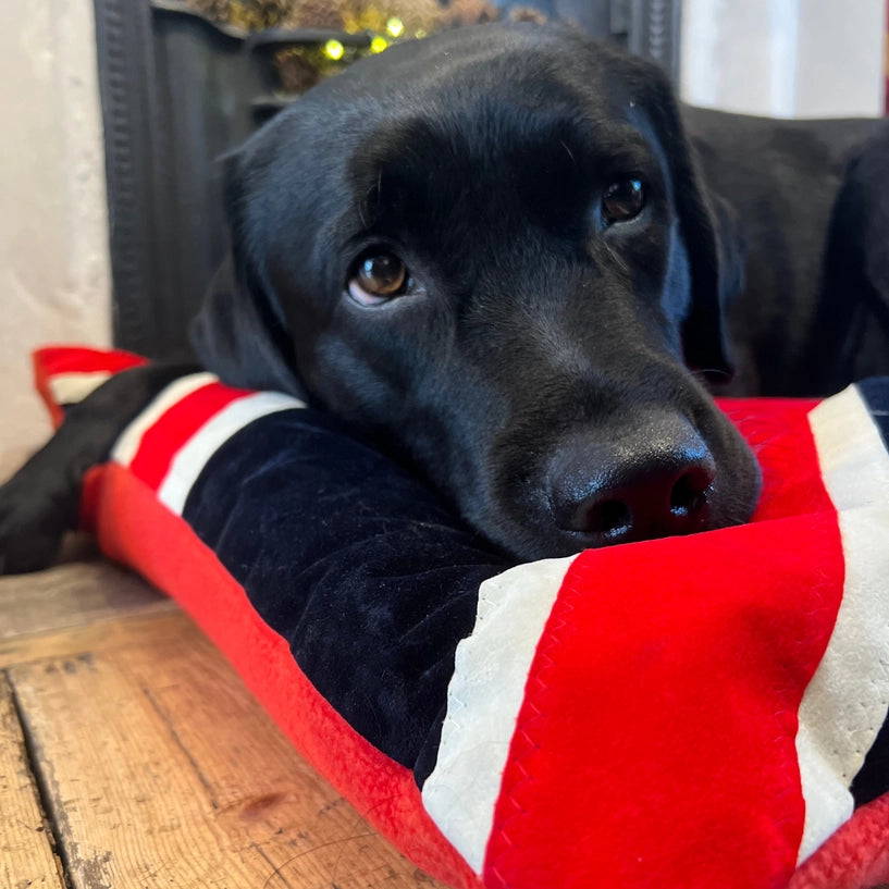 Dog Bed in Union Jack Flag Design