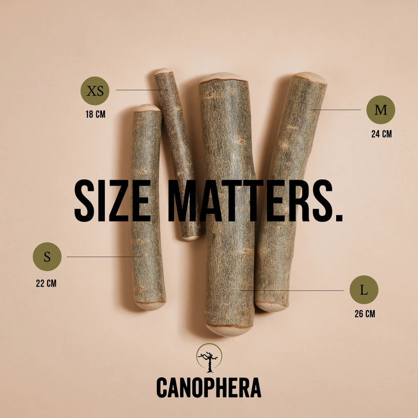Olive Wood - Canophera