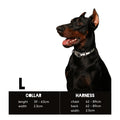 Eddgy Dog Collar - Skye