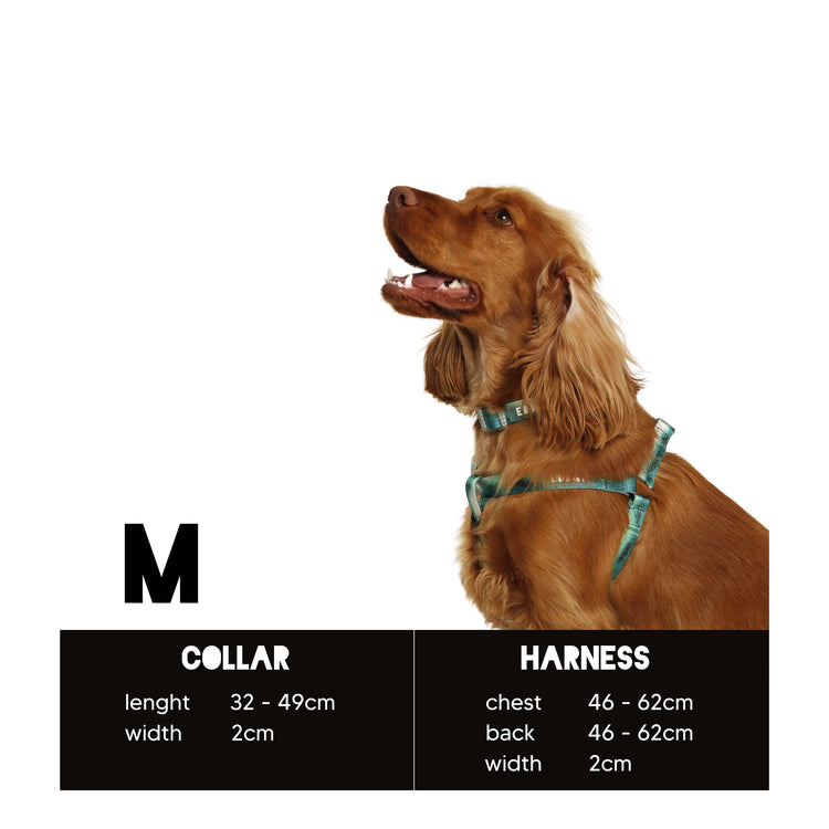 Eddgy Dog Collar - Loki