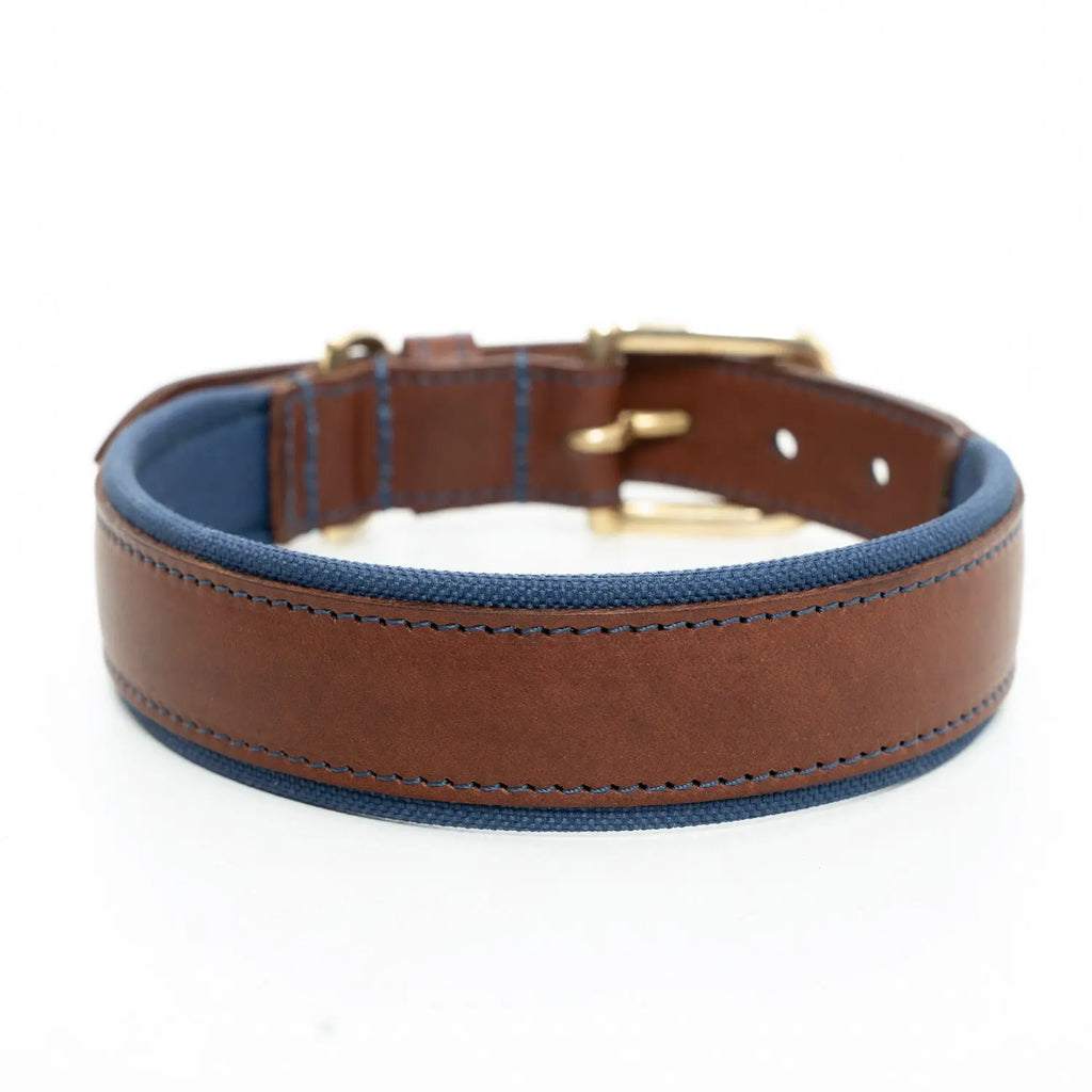 Morston Padded Leather Collar