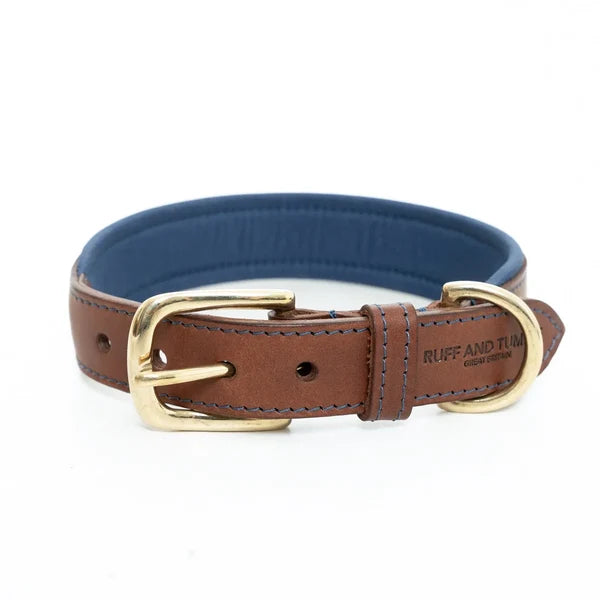 Morston Padded Leather Collar