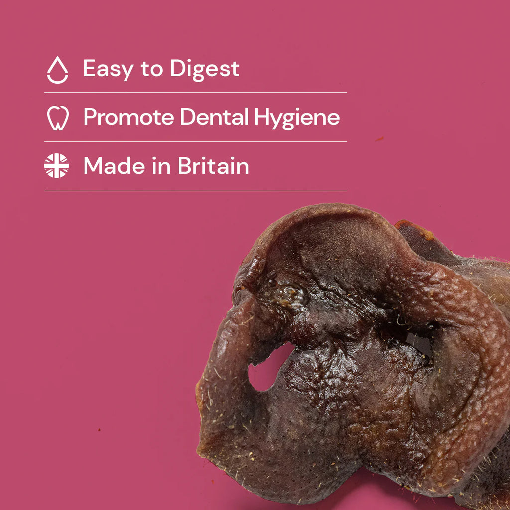 Pig Snout